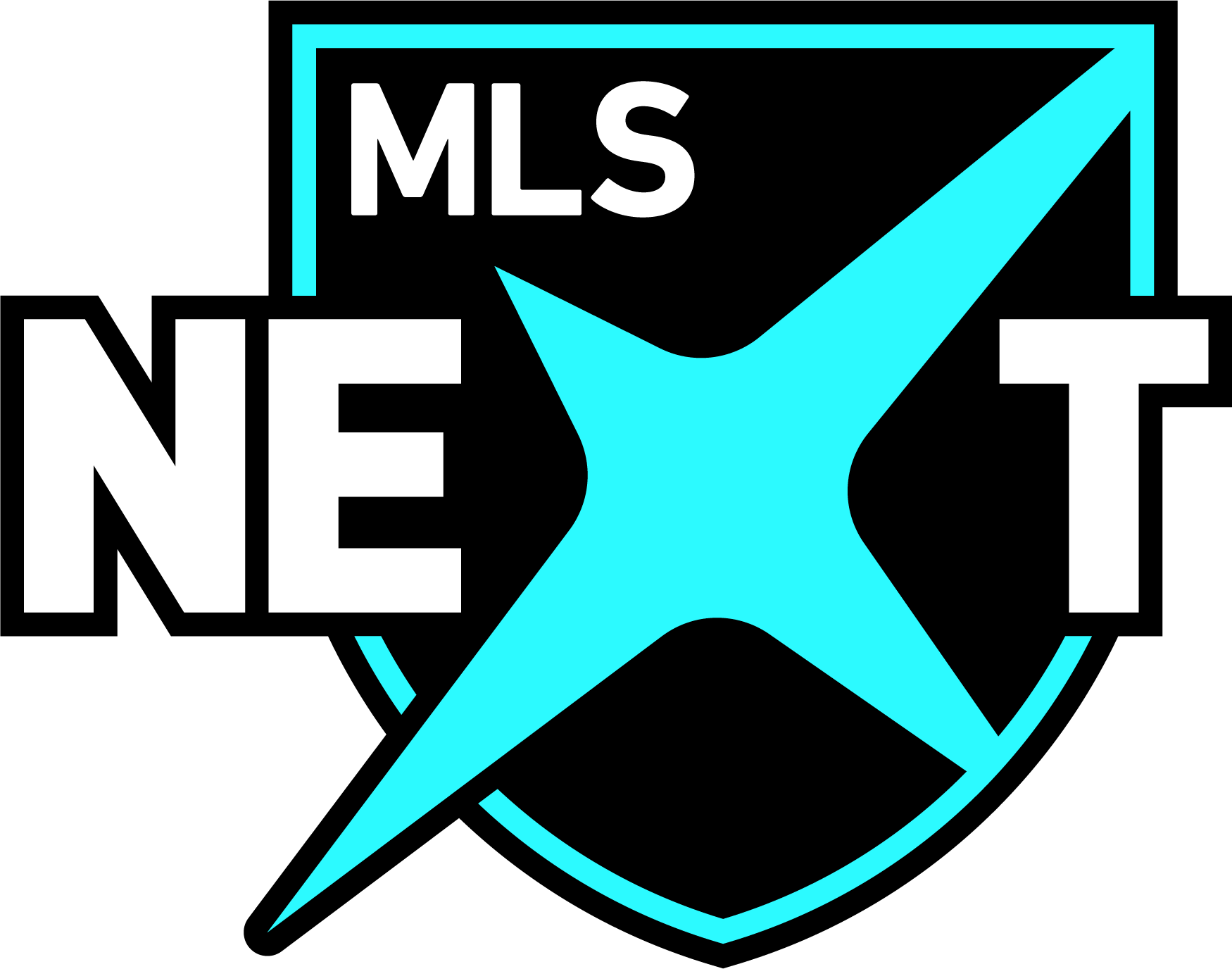 MLS Next Logo